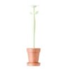 ESCOBILLERO WC FLORGANIC 11467