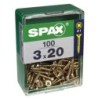 TORNILLO SPAX C/PL POZI BRICO. 3.0X20 C/100 UDS