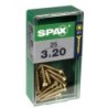 TORNILLO SPAX C/PL POZI BRICO. 3.0X40 C/20 UDS