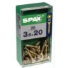 TORNILLO SPAX C/PL POZI BRICO. 3.5X16 C/100 UDS