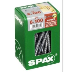 TORN. SPAX C/ARAN.TORX 6.0X100 WIROX C/24 UDS