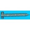 TORNILLO ROSCA CHAPA CABEZA ALOMADA 4,80X13 ZN BL.