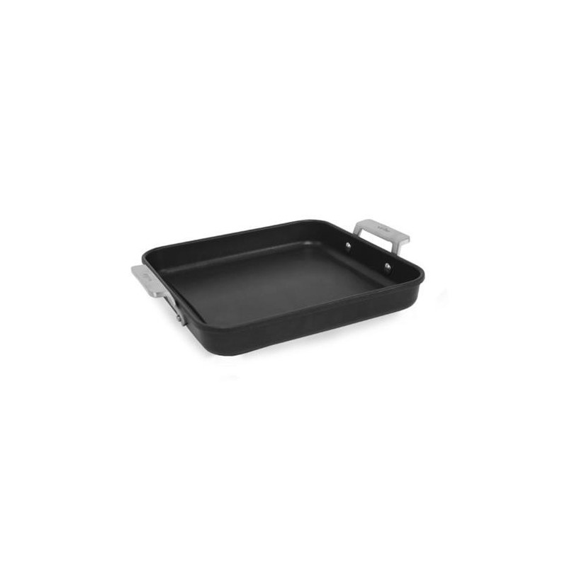 PLANCHA DE ASAR CON ASAS 23X23 AIRE 4650/25