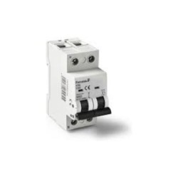 MAGNETOTERMICO1P+N 40 AMPERIOS 257000054