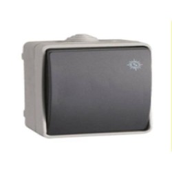 INTERRUPTOR BIPOLAR 10 AH. 250 V. 3303