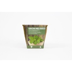 KIT SIEMBRA GROW ME MENTA PIPERITA 0,1GR
