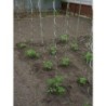 TUTOR ACERO ESPIRAL TOMATERO 7MM X 1,80M