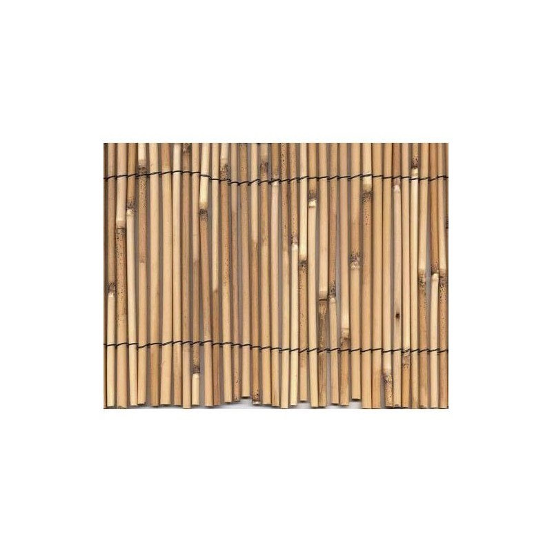 CAÑIZO BAMBU PELADO 1X5M. 270001