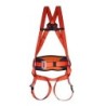 ARNES MAXIPRO